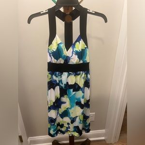Dyer California dress
